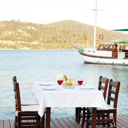 Velena * ゴルトゥルブク