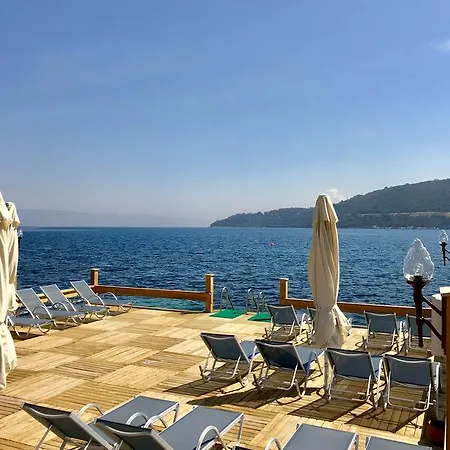 Velena * ゴルトゥルブク