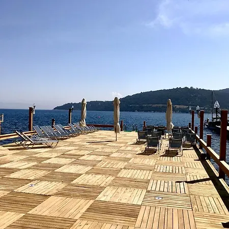 Velena ゴルトゥルブク