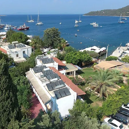 Velena * ゴルトゥルブク