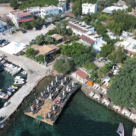 Velena * 古托克布库