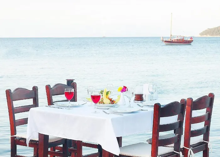 Velena * Golturkbuku