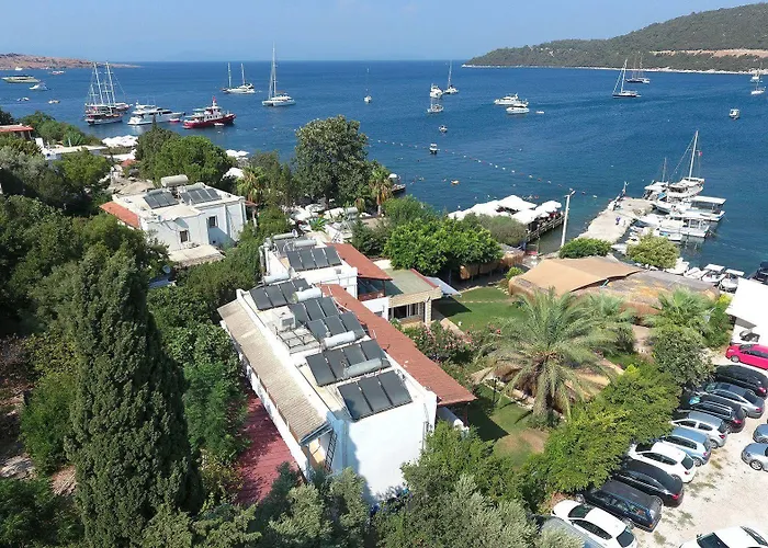 Velena * Golturkbuku