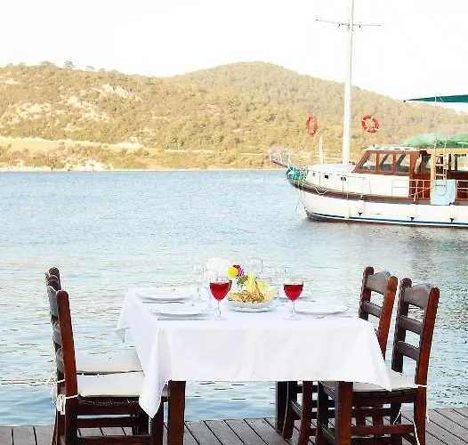 Velena * Golturkbuku