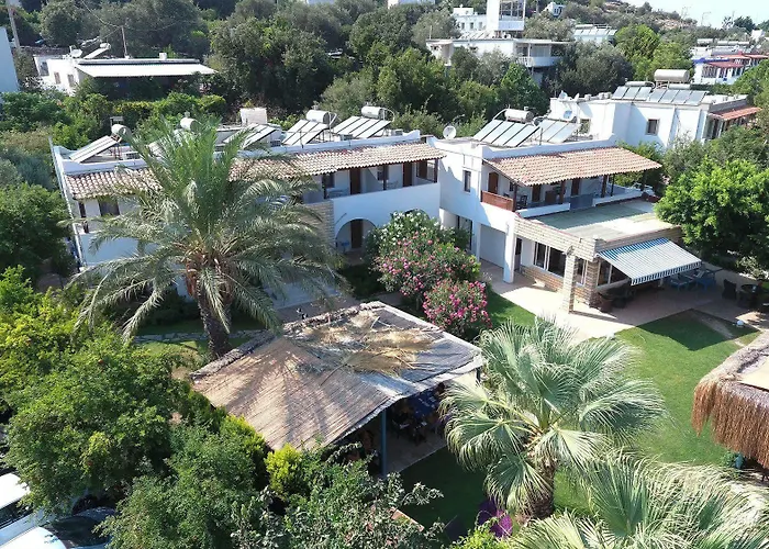 Velena * Göltürkbükü